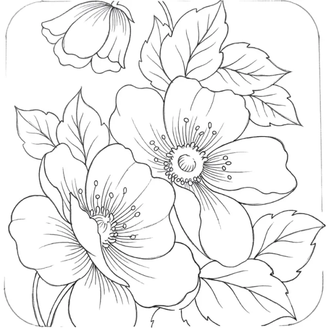 100 Moldes de Flores para Pintura em Tecido: Riscos Prontos para Imprimir e Guia Completo 4 riscos de flores para pintura em tecido